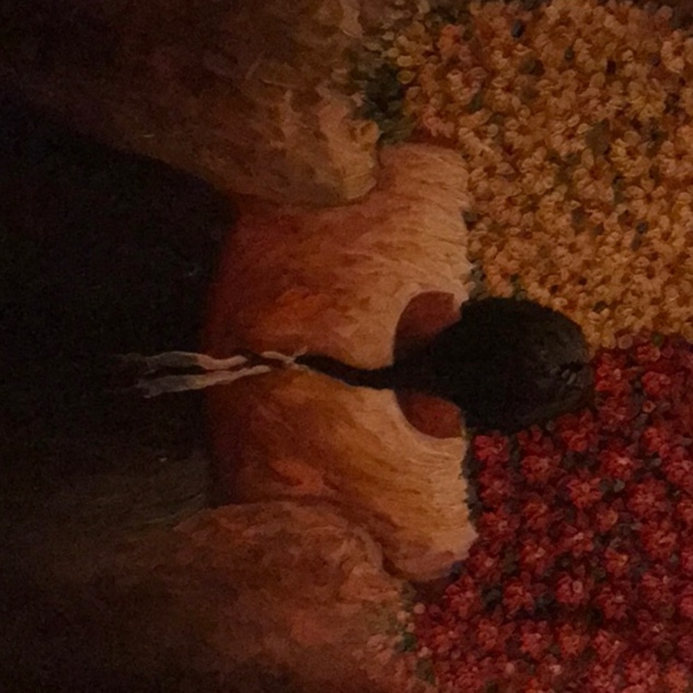 Meet your Posher, Hilda